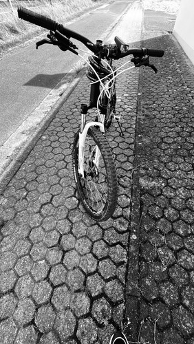 Dynamics gravity mountainbike - gravity,