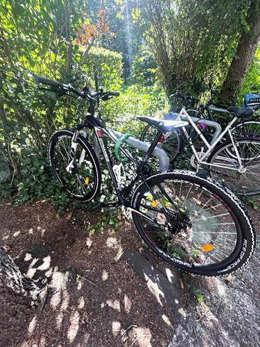 Gravity dynamic mountainbike - dynamic,